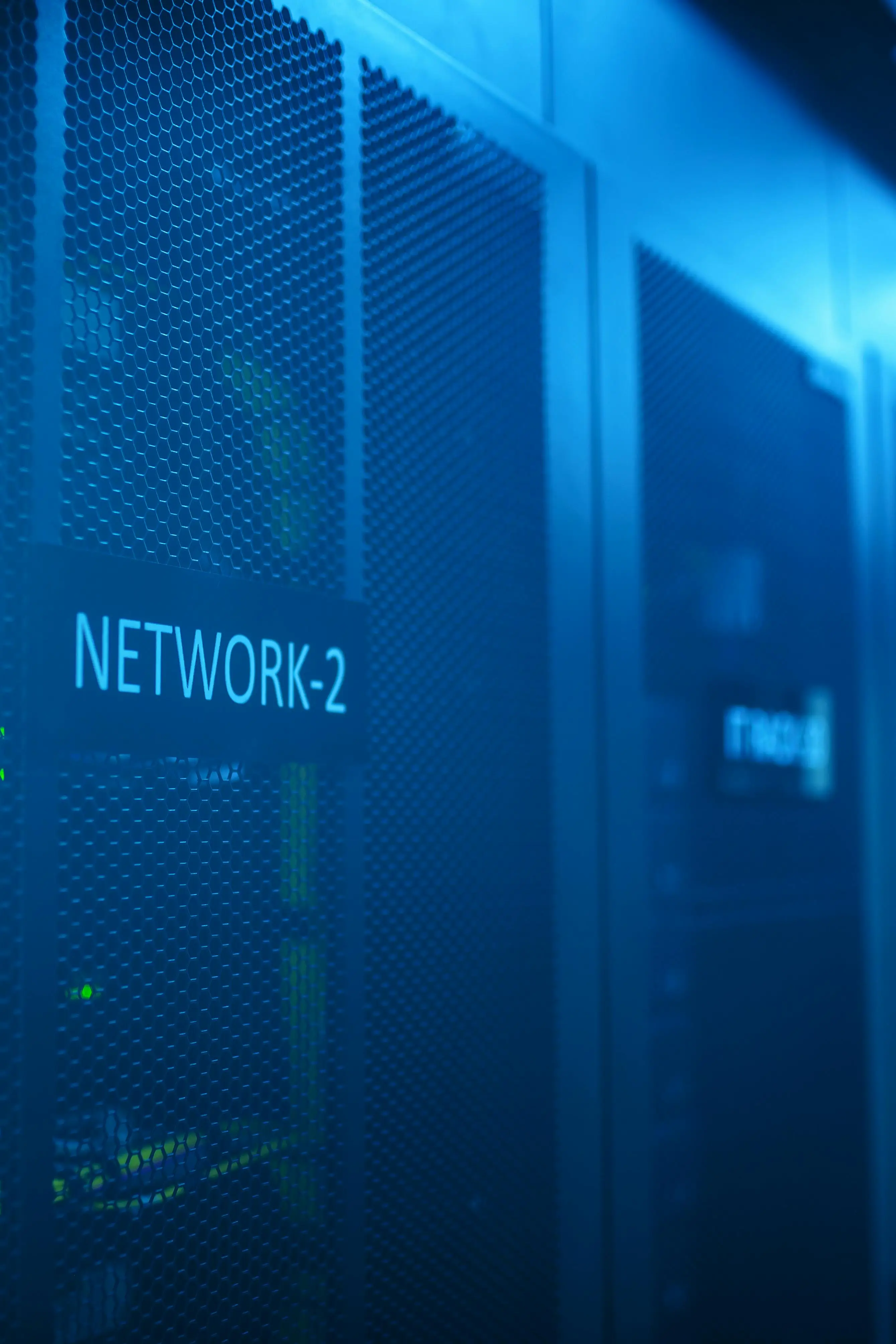 pexels-photo-17323801