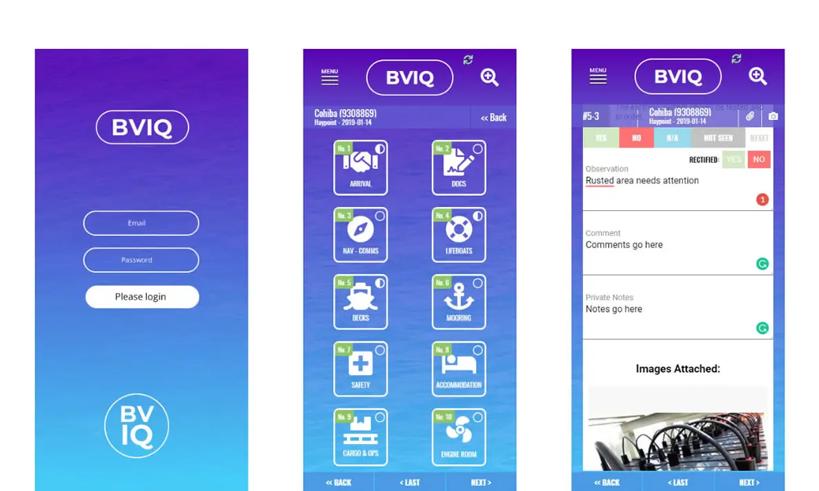 BVIQ Inspection Questionnaire